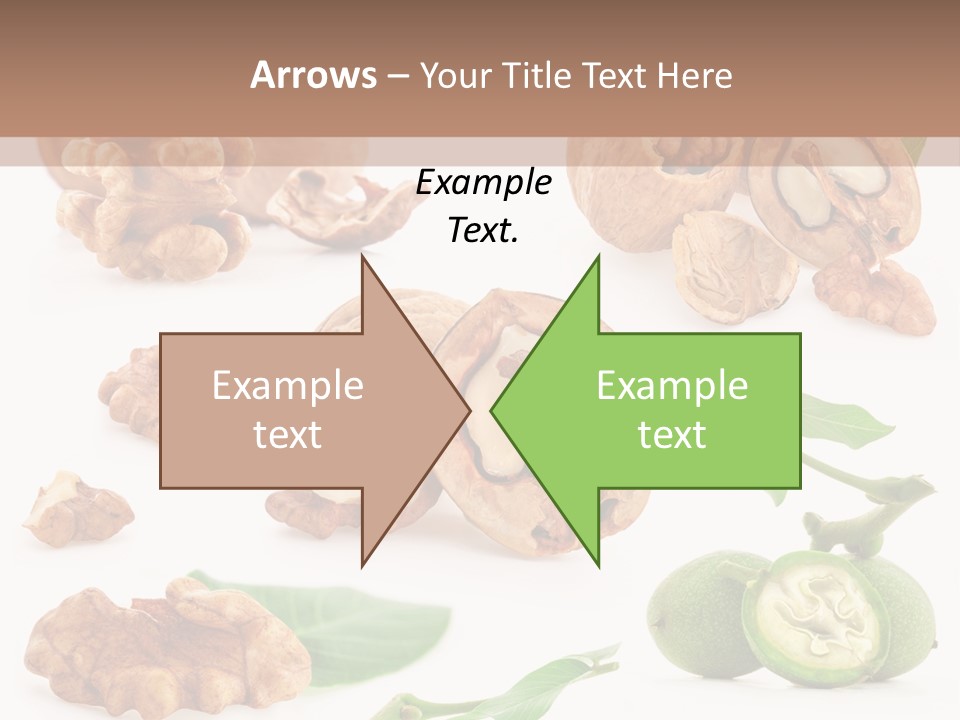 Nutty Healthy Leaf PowerPoint Template