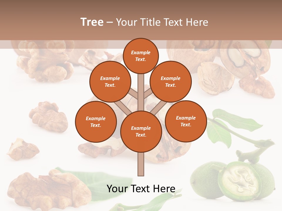 Nutty Healthy Leaf PowerPoint Template