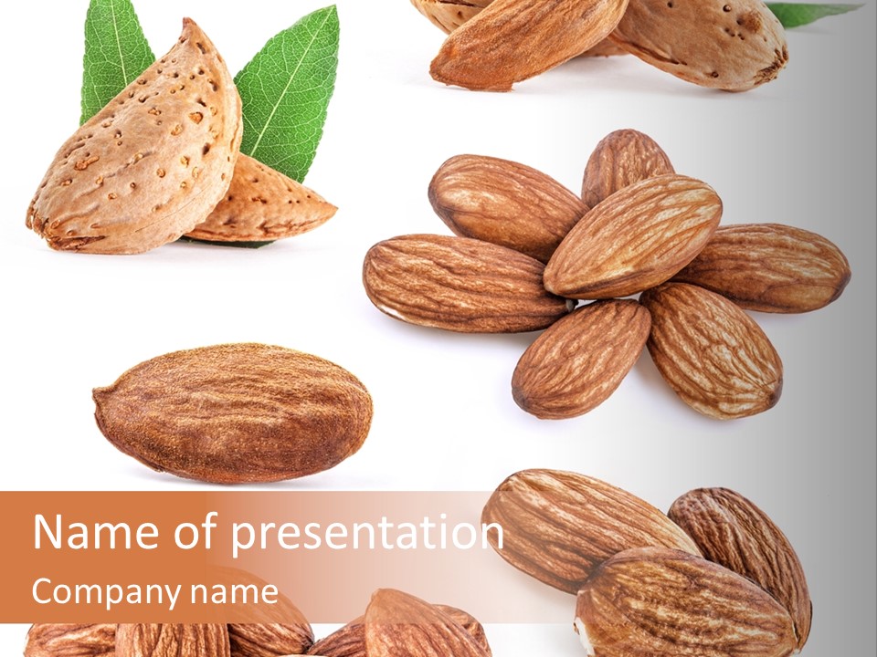 Hard Drupe Fruit PowerPoint Template