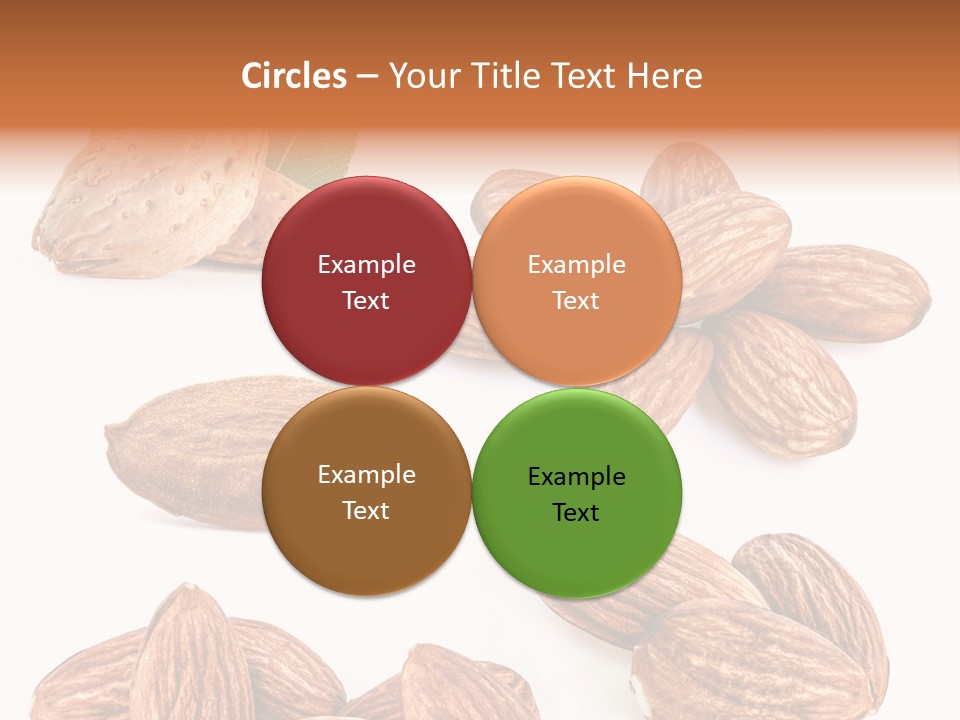 Hard Drupe Fruit PowerPoint Template
