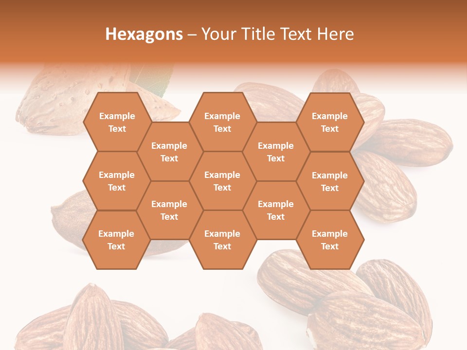 Hard Drupe Fruit PowerPoint Template