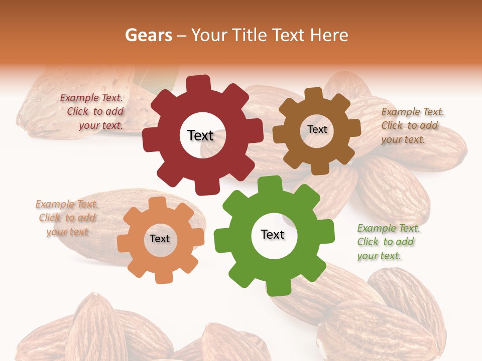 Hard Drupe Fruit PowerPoint Template