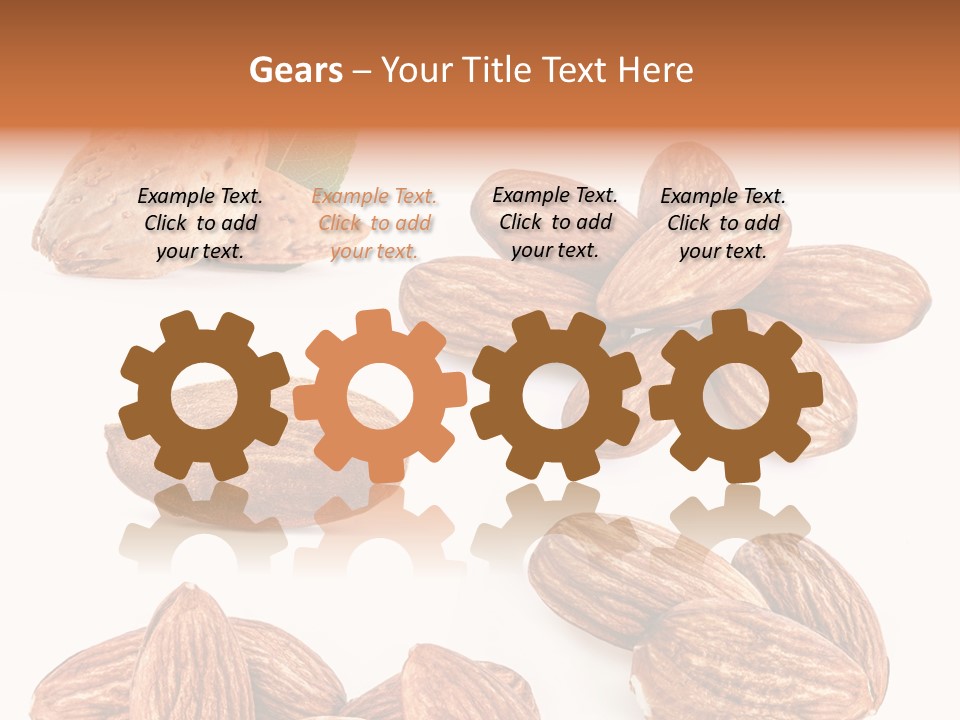 Hard Drupe Fruit PowerPoint Template