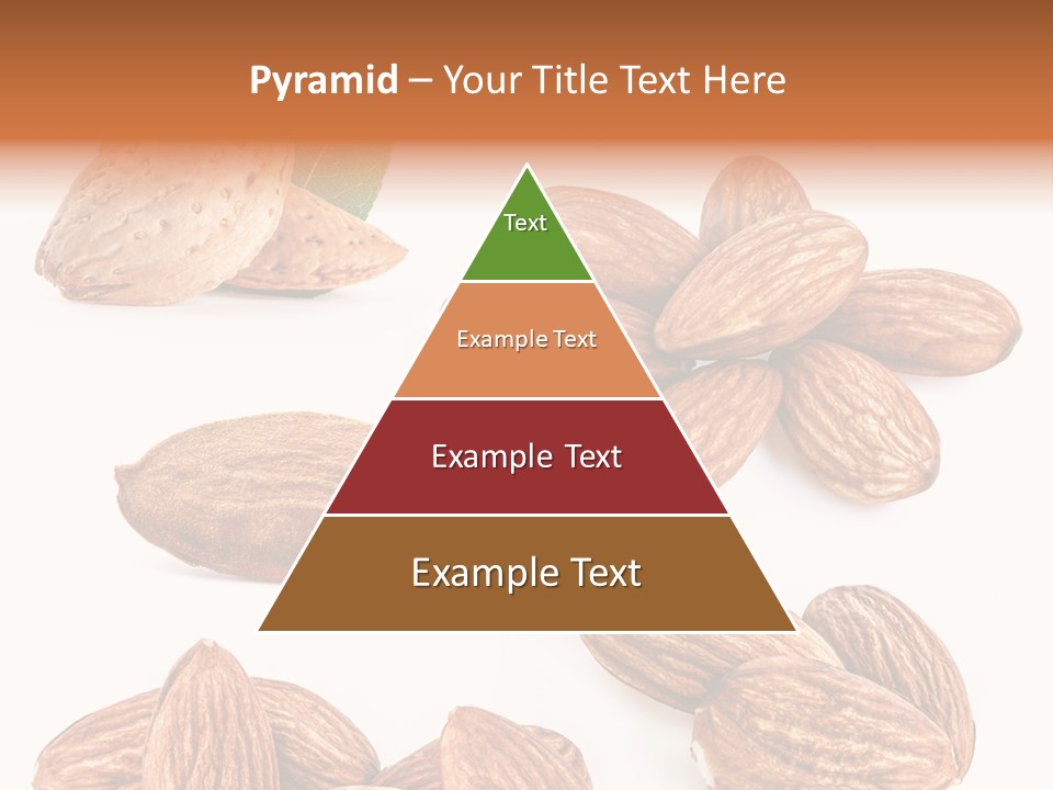 Hard Drupe Fruit PowerPoint Template