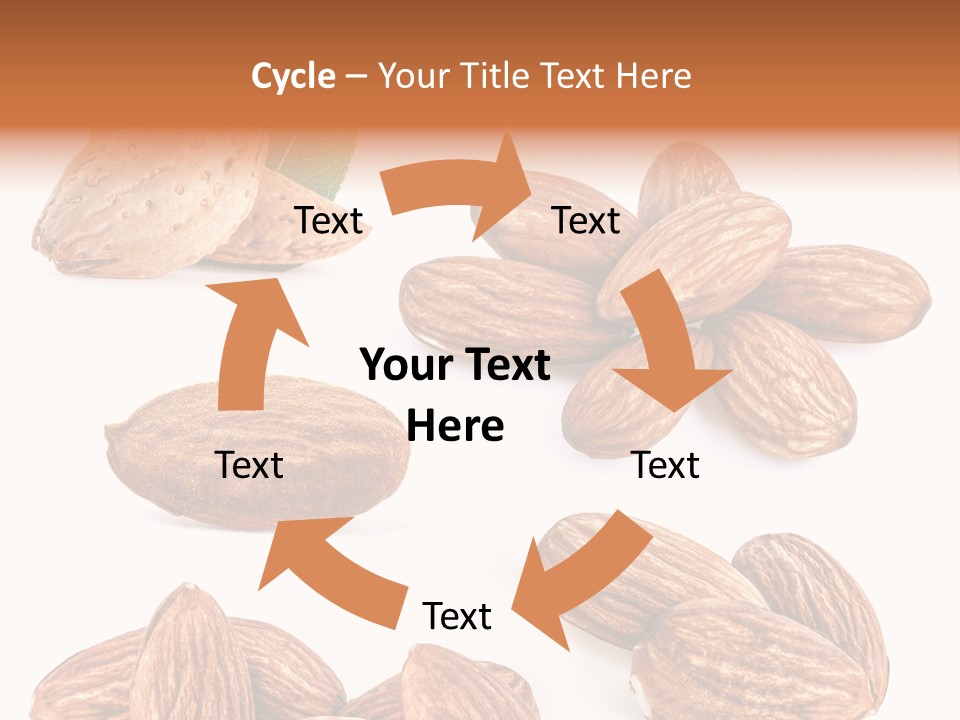 Hard Drupe Fruit PowerPoint Template