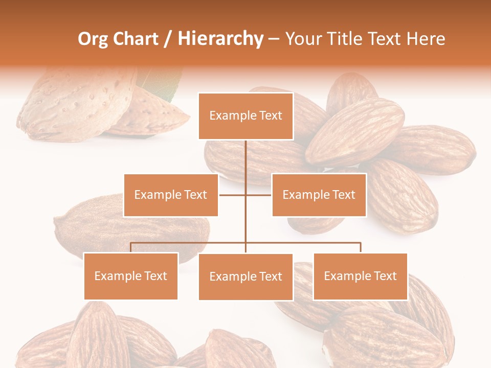 Hard Drupe Fruit PowerPoint Template
