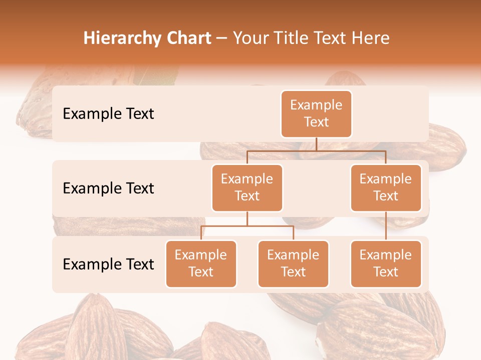 Hard Drupe Fruit PowerPoint Template