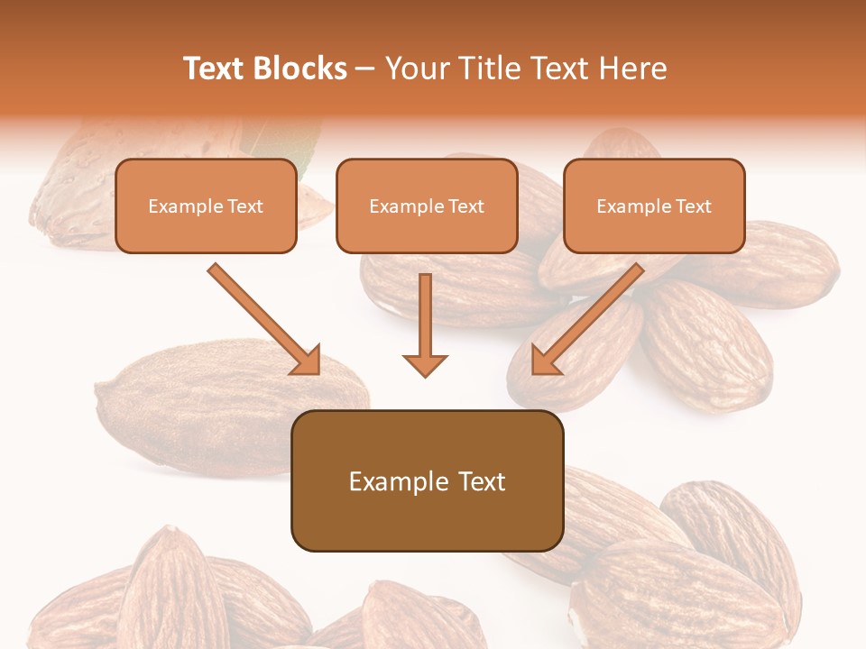 Hard Drupe Fruit PowerPoint Template