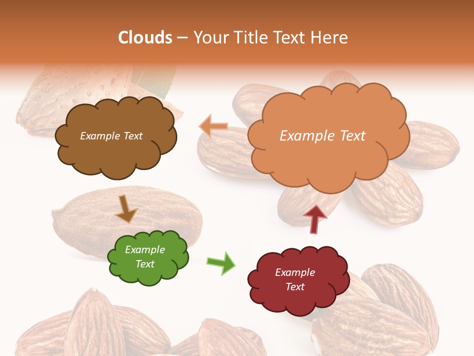 Hard Drupe Fruit PowerPoint Template