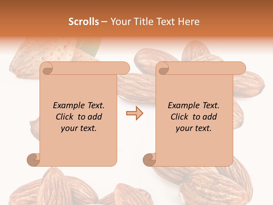 Hard Drupe Fruit PowerPoint Template