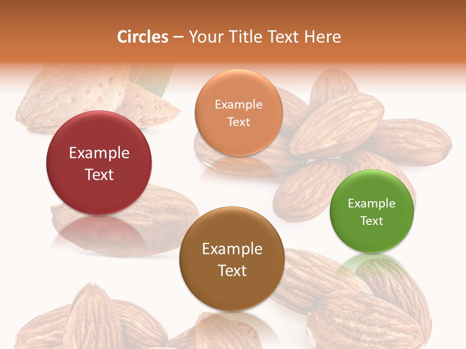 Hard Drupe Fruit PowerPoint Template