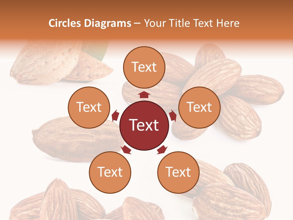 Hard Drupe Fruit PowerPoint Template