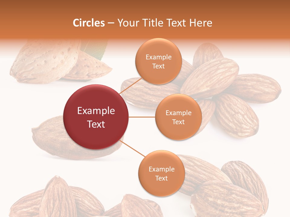 Hard Drupe Fruit PowerPoint Template