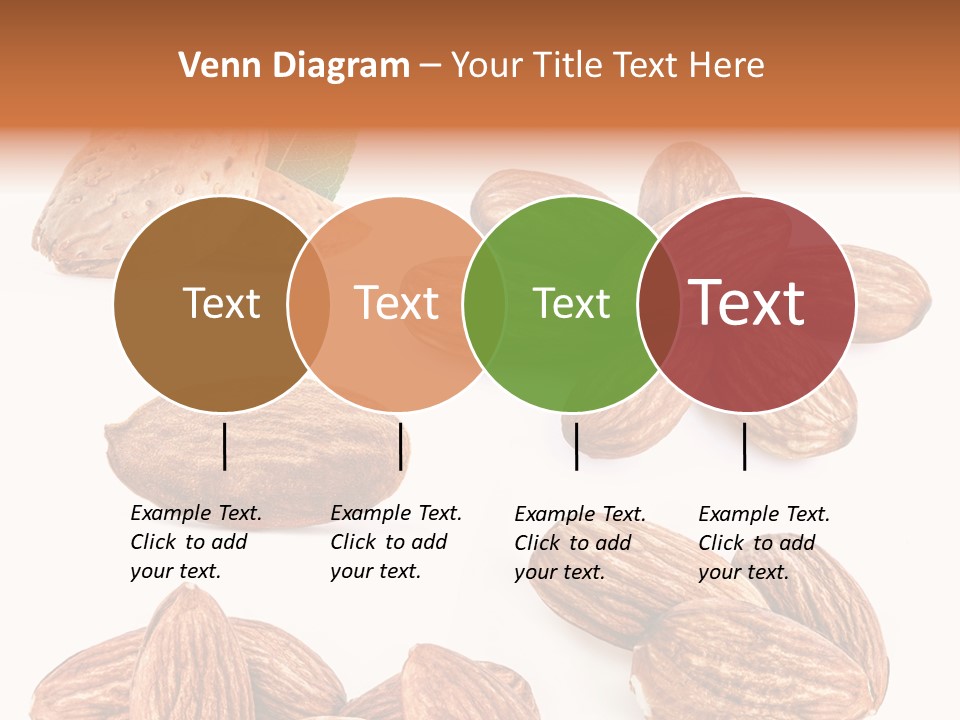 Hard Drupe Fruit PowerPoint Template