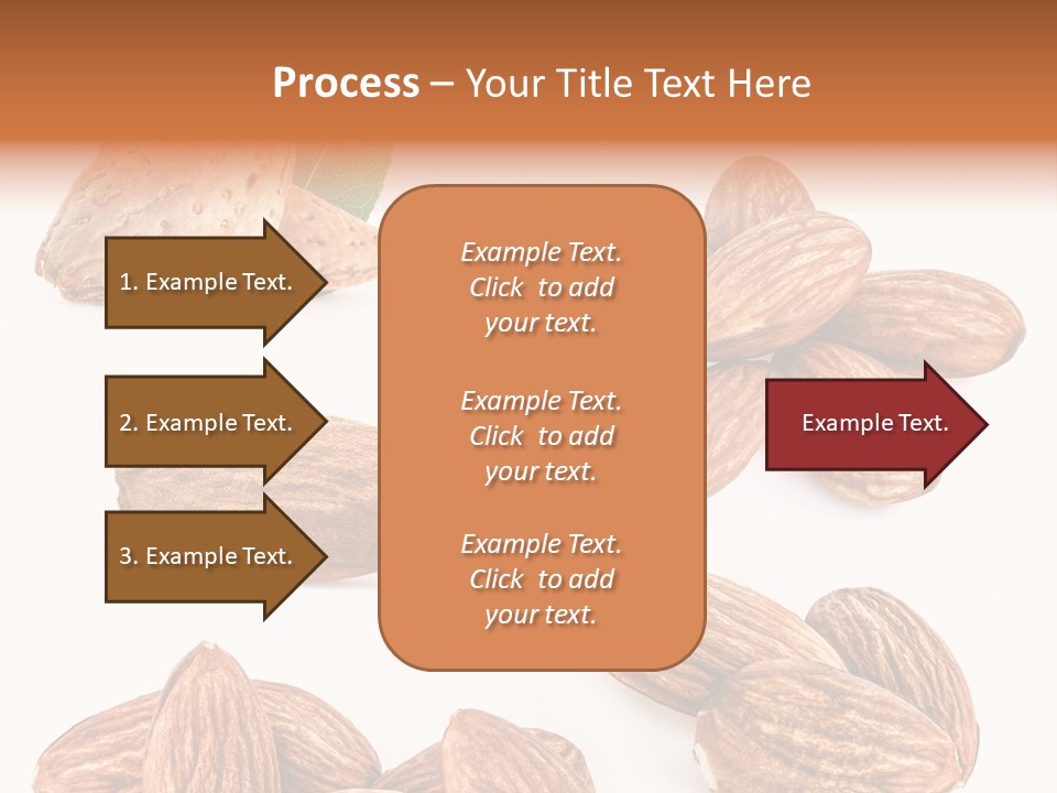 Hard Drupe Fruit PowerPoint Template