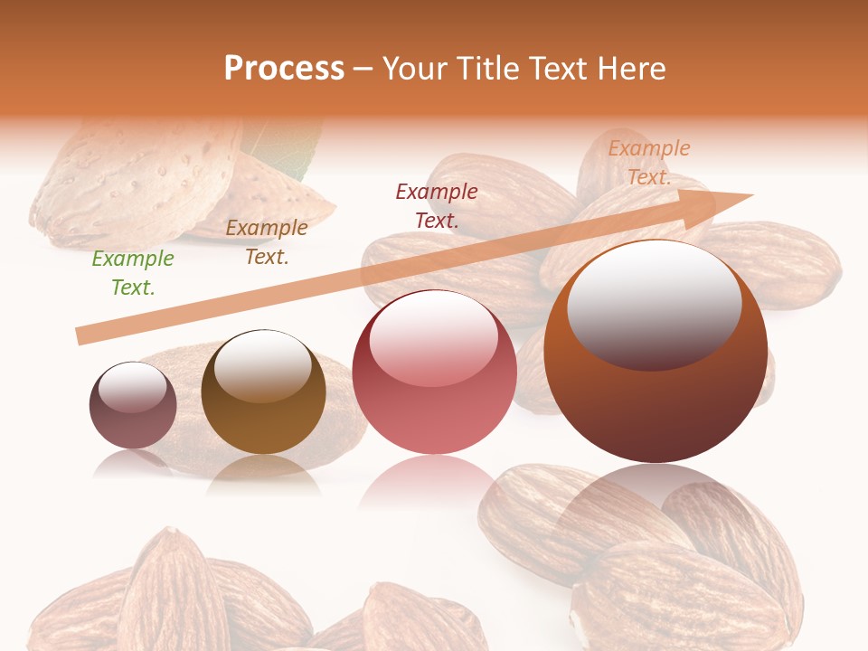 Hard Drupe Fruit PowerPoint Template
