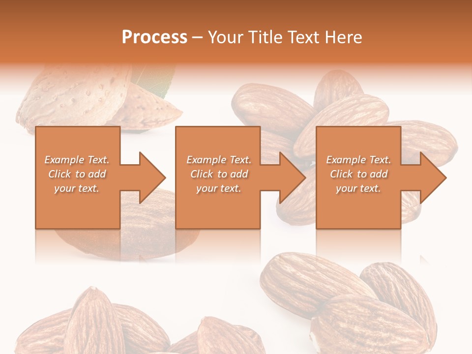 Hard Drupe Fruit PowerPoint Template