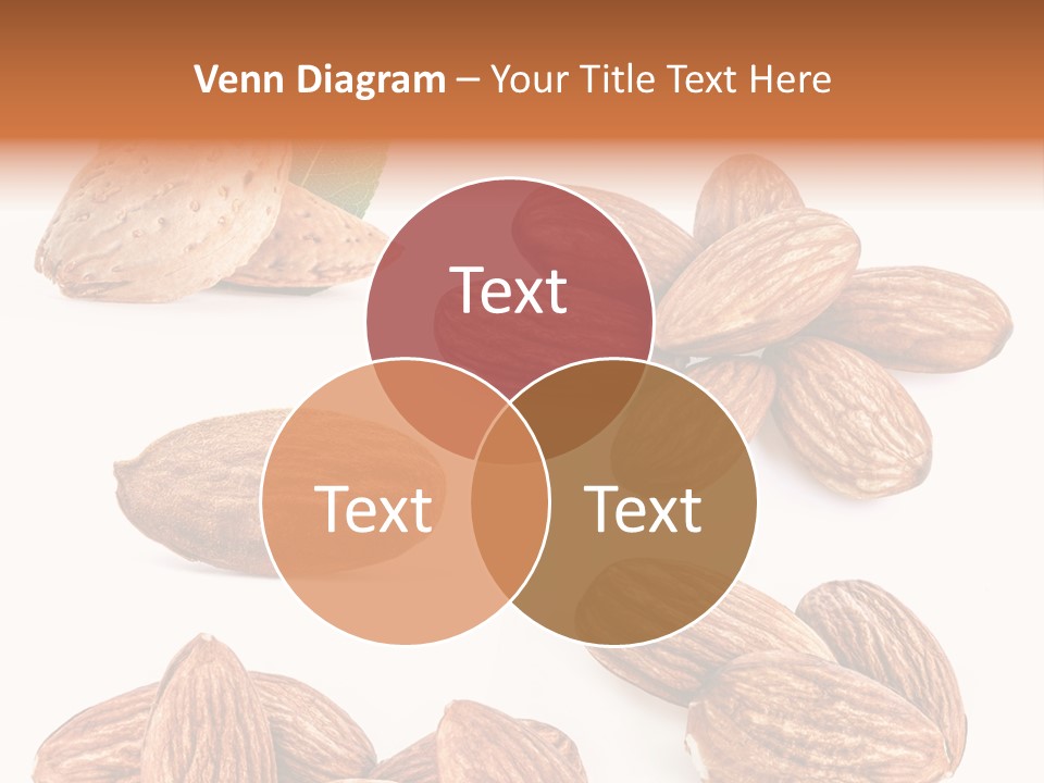 Hard Drupe Fruit PowerPoint Template