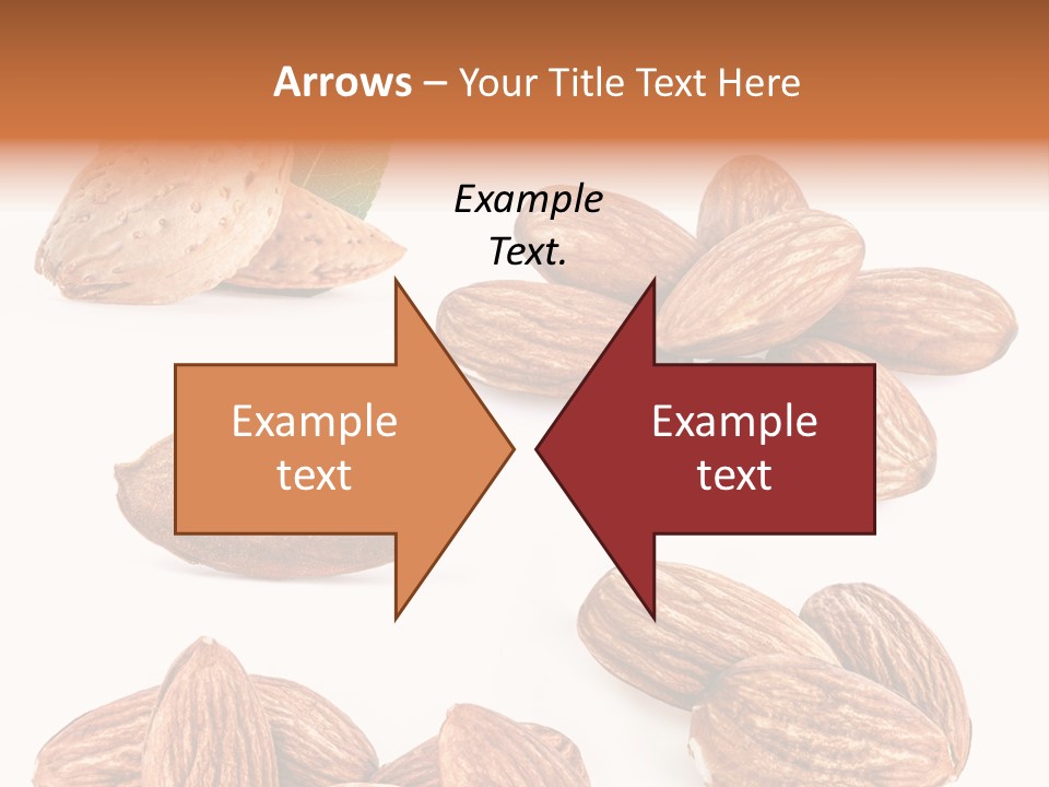 Hard Drupe Fruit PowerPoint Template