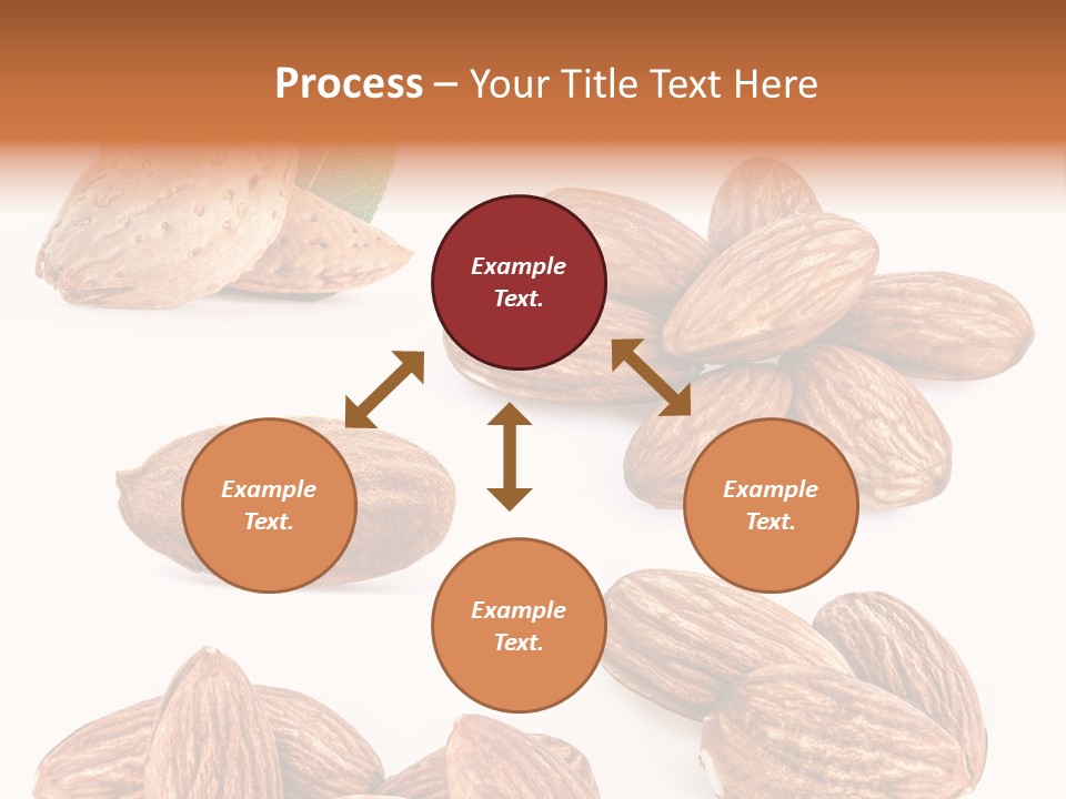 Hard Drupe Fruit PowerPoint Template
