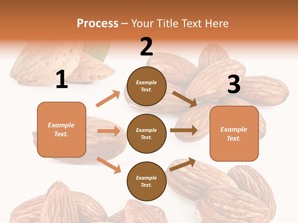 Hard Drupe Fruit PowerPoint Template