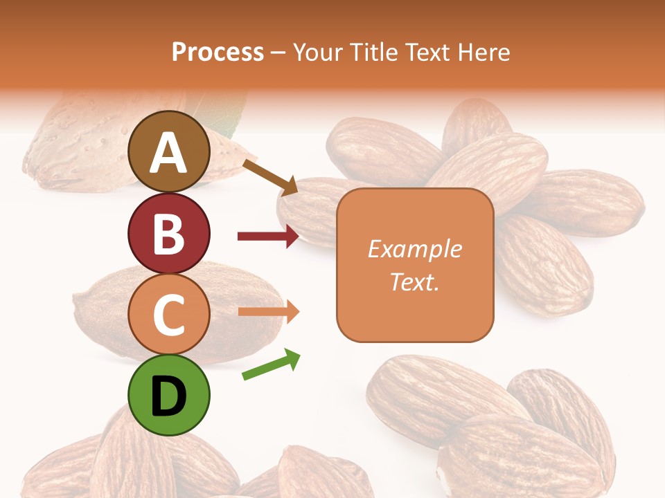 Hard Drupe Fruit PowerPoint Template