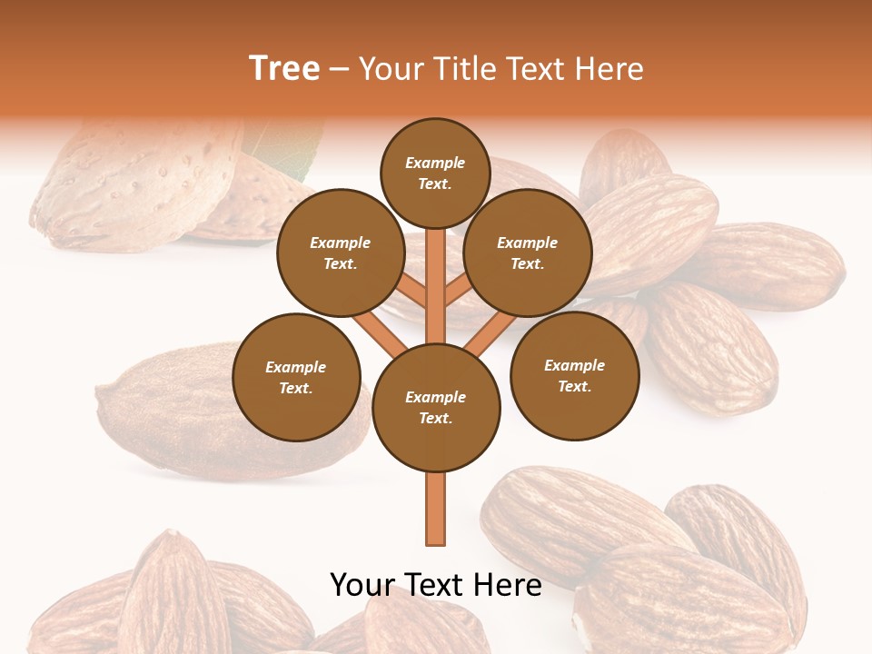 Hard Drupe Fruit PowerPoint Template