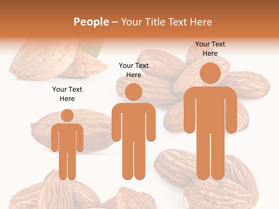 Hard Drupe Fruit PowerPoint Template