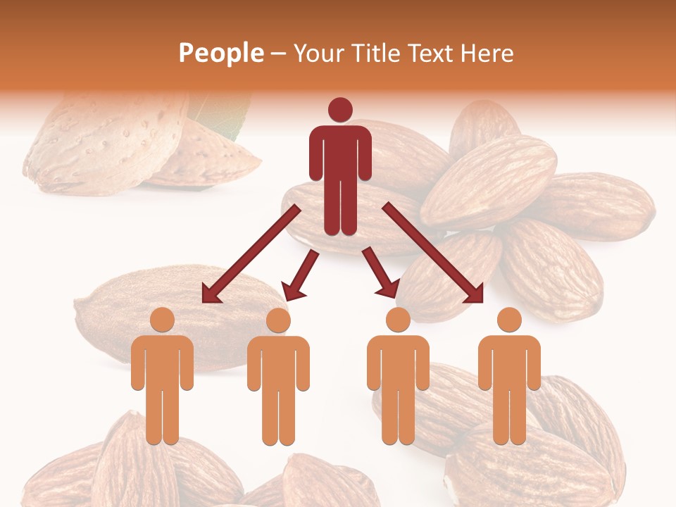 Hard Drupe Fruit PowerPoint Template