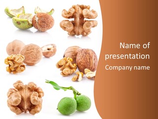 Object Nature Nutrient PowerPoint Template