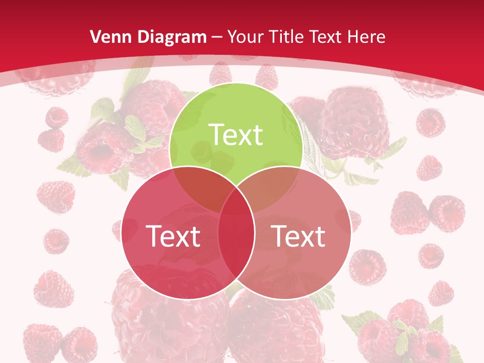 Copy Frame Ornament PowerPoint Template