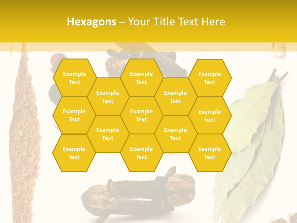 Crushed Cilantro Herb PowerPoint Template