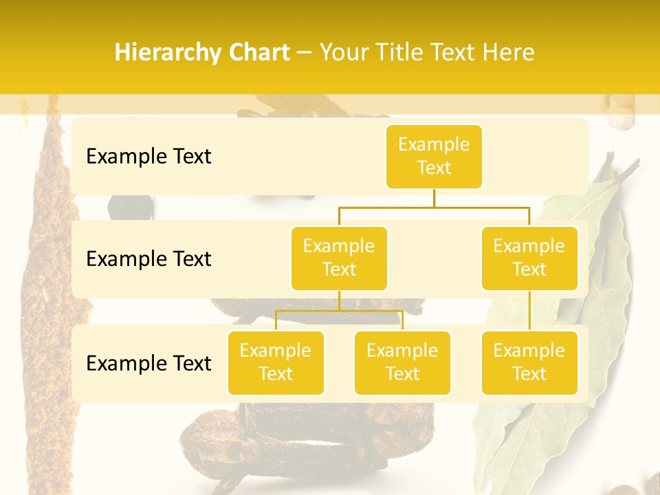 Crushed Cilantro Herb PowerPoint Template