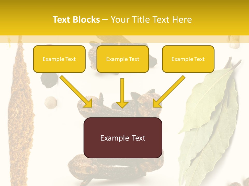Crushed Cilantro Herb PowerPoint Template