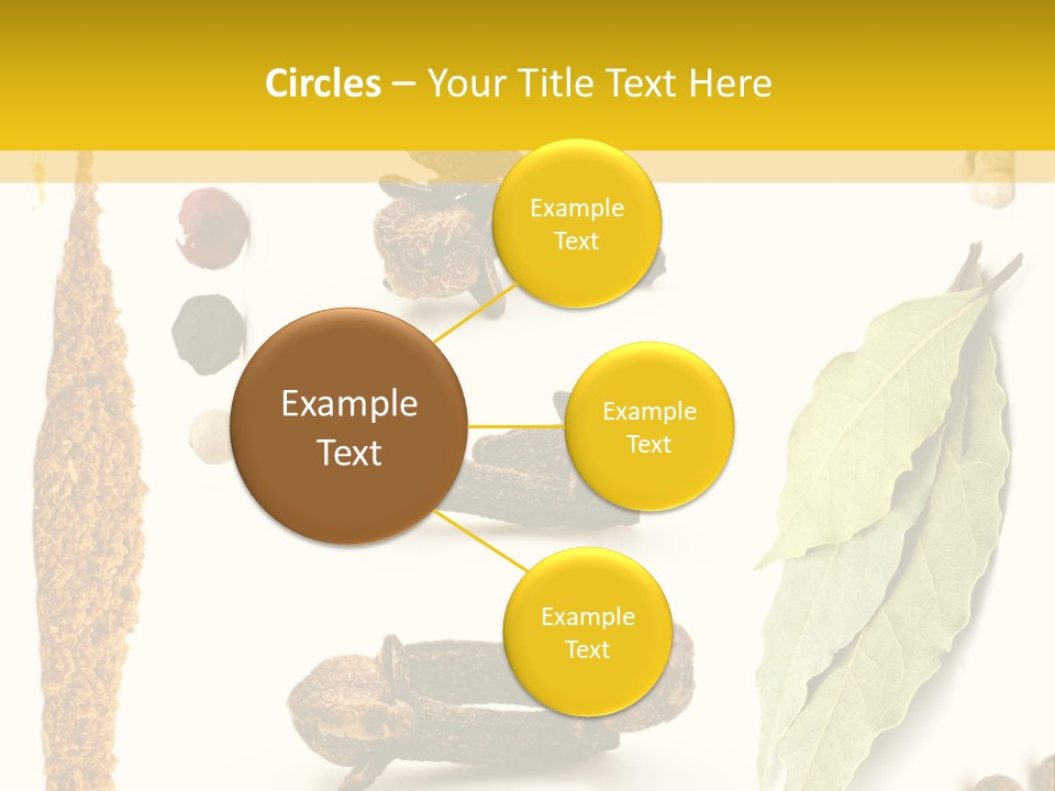 Crushed Cilantro Herb PowerPoint Template