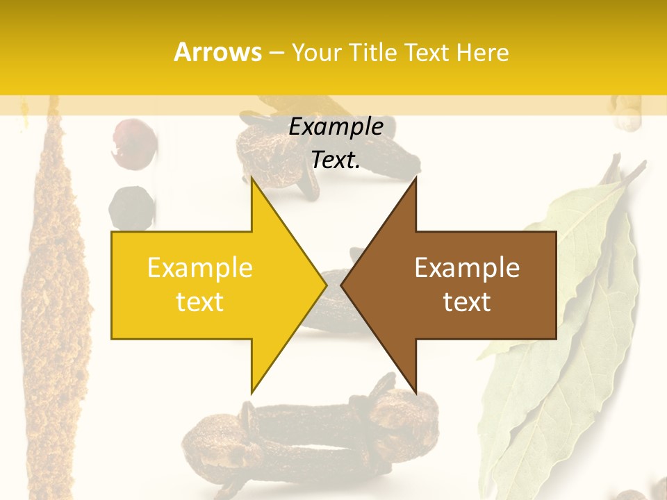 Crushed Cilantro Herb PowerPoint Template