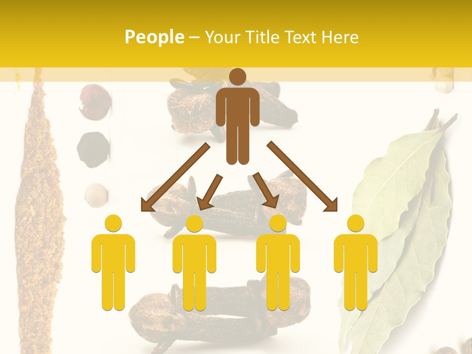 Crushed Cilantro Herb PowerPoint Template