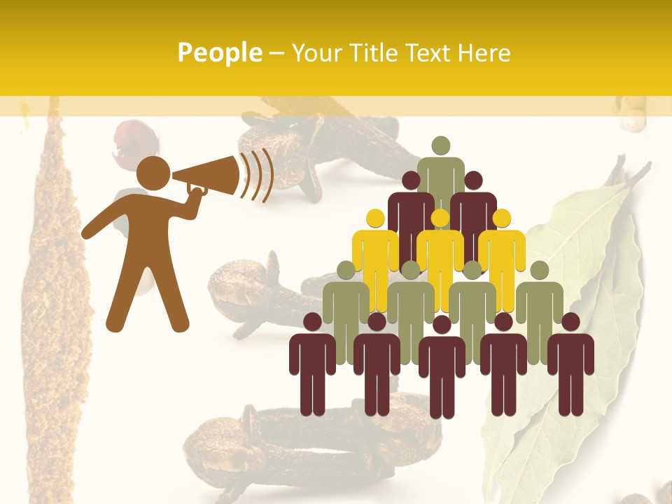 Crushed Cilantro Herb PowerPoint Template