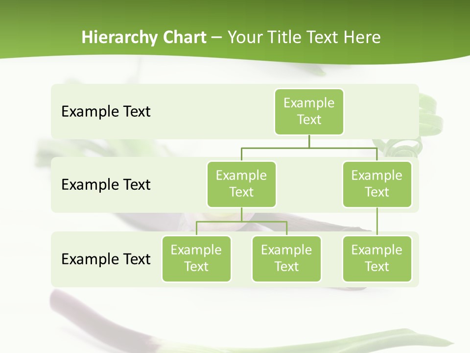 Natural Diet Isolated PowerPoint Template
