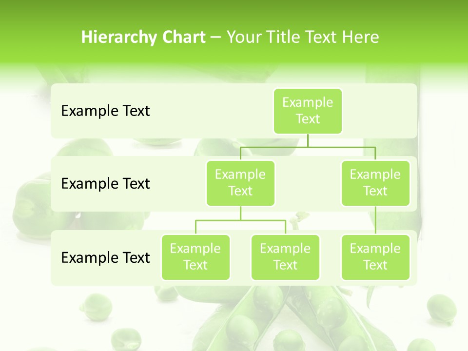 Row Organic Nutrition PowerPoint Template