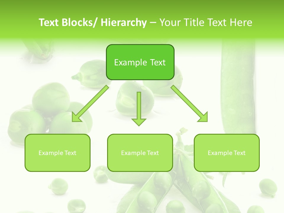 Row Organic Nutrition PowerPoint Template