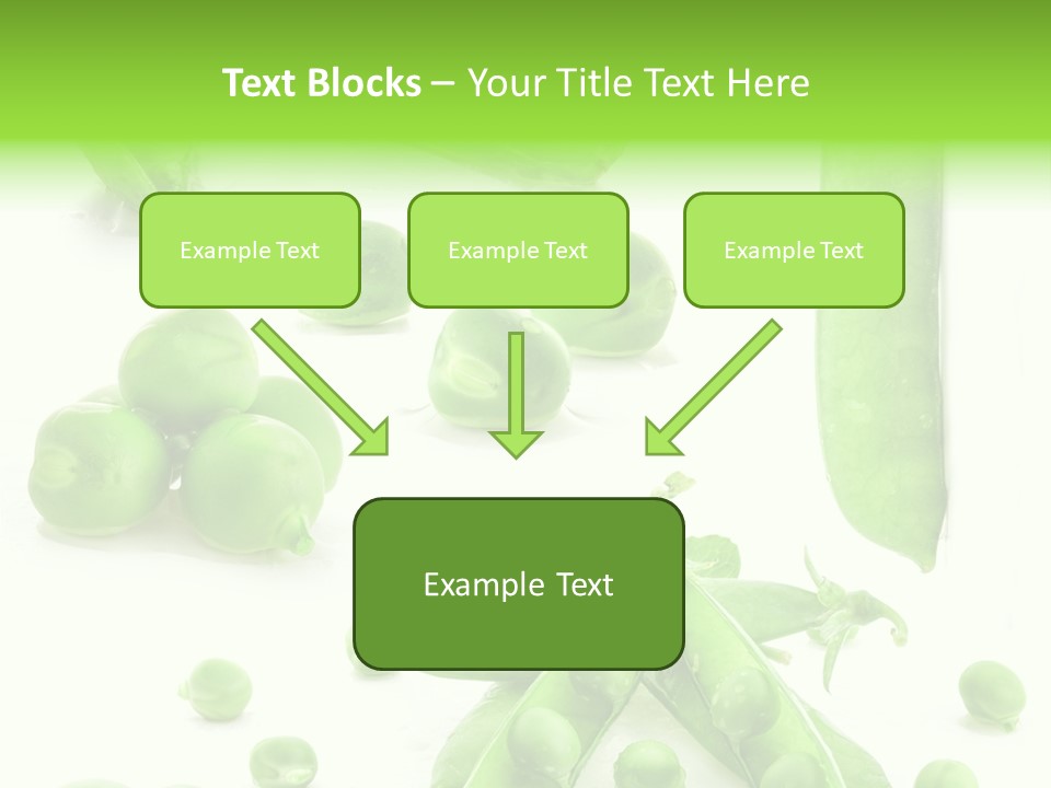 Row Organic Nutrition PowerPoint Template