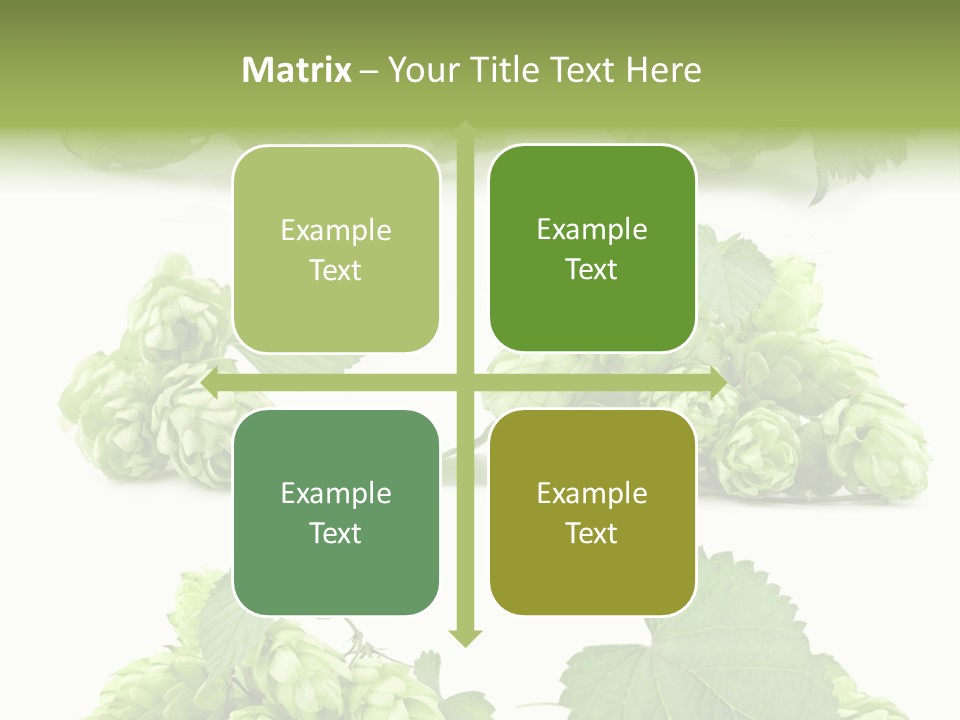 Isolated Drunk Aroma PowerPoint Template