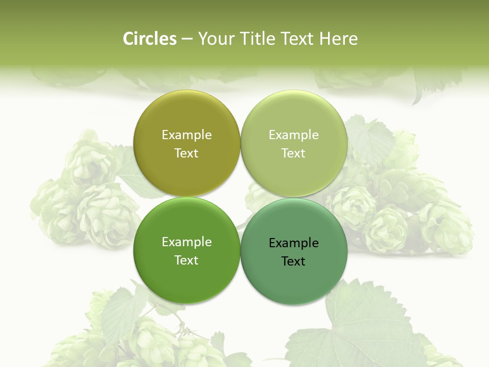 Isolated Drunk Aroma PowerPoint Template