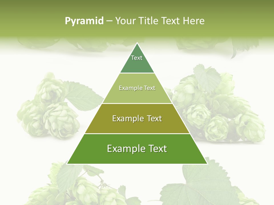 Isolated Drunk Aroma PowerPoint Template