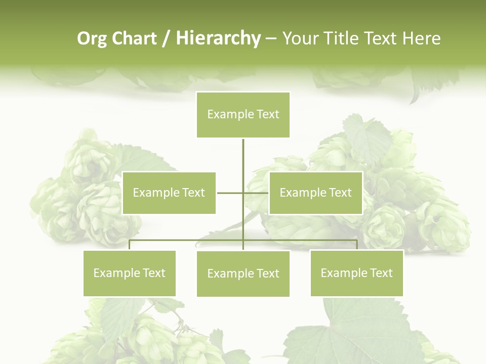 Isolated Drunk Aroma PowerPoint Template