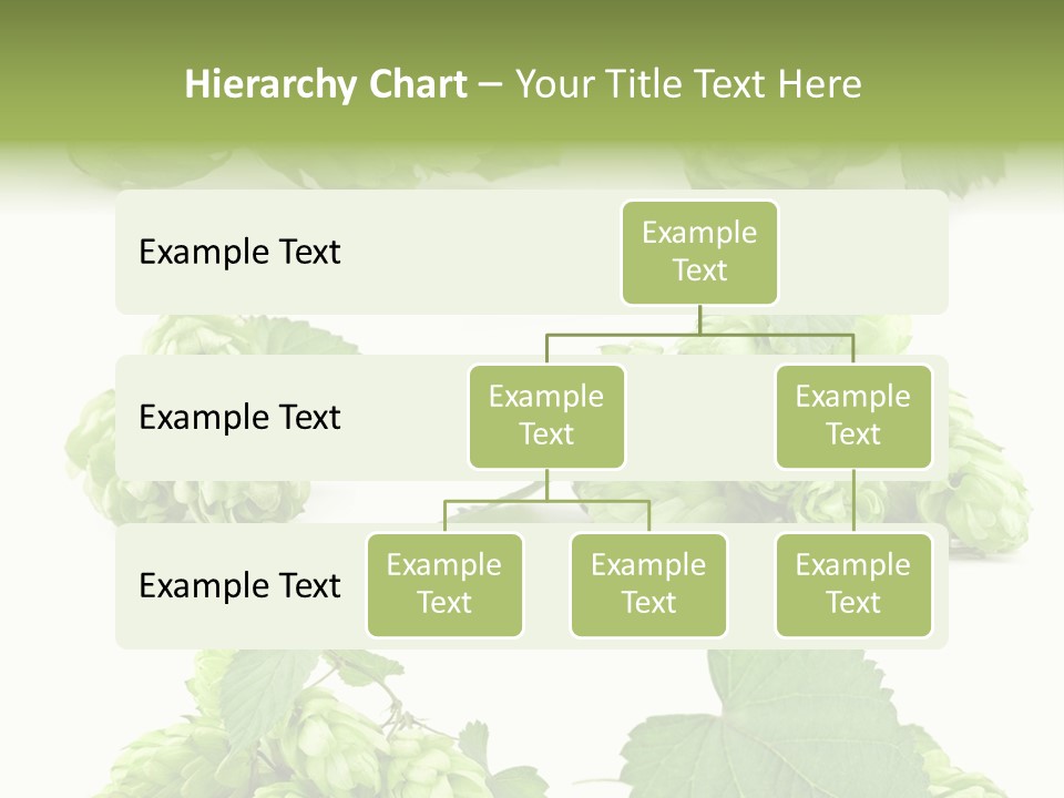 Isolated Drunk Aroma PowerPoint Template