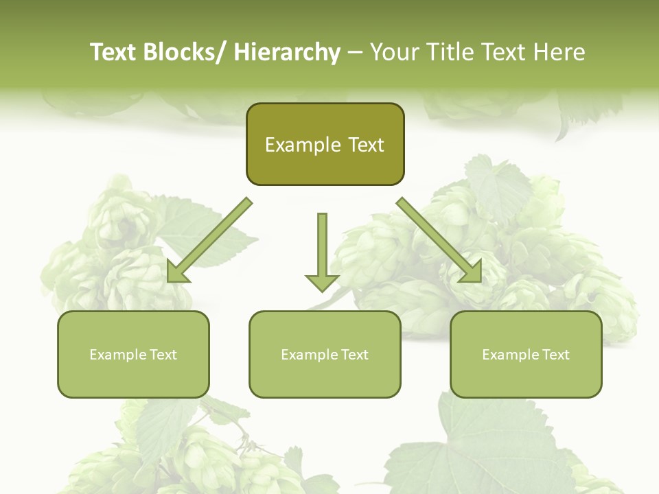 Isolated Drunk Aroma PowerPoint Template