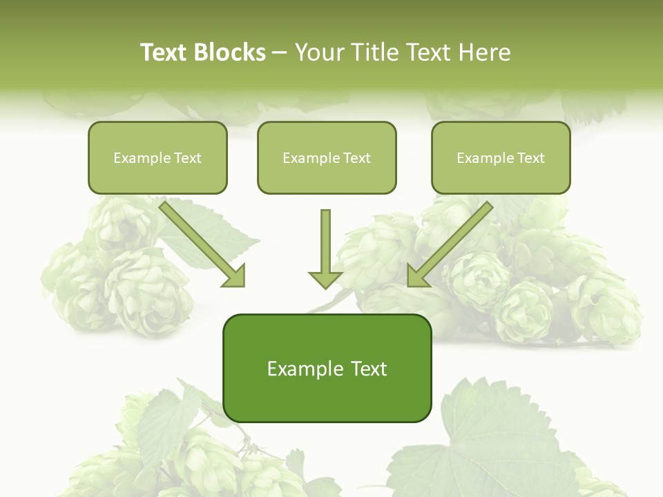 Isolated Drunk Aroma PowerPoint Template