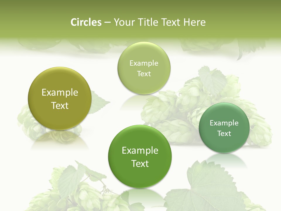 Isolated Drunk Aroma PowerPoint Template